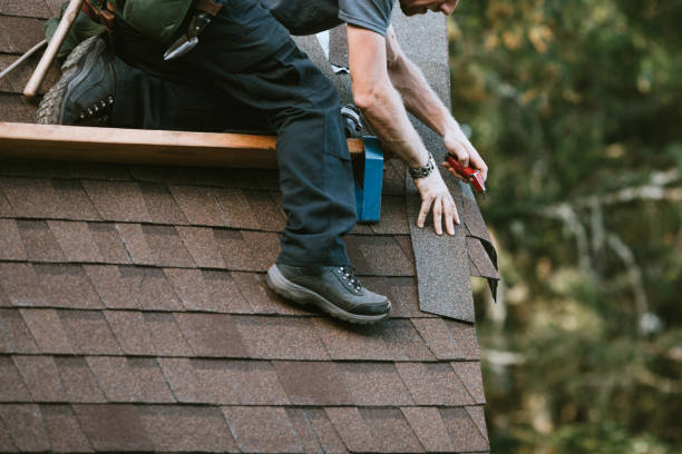 Best Roof Installation  in Ames Lake, WA